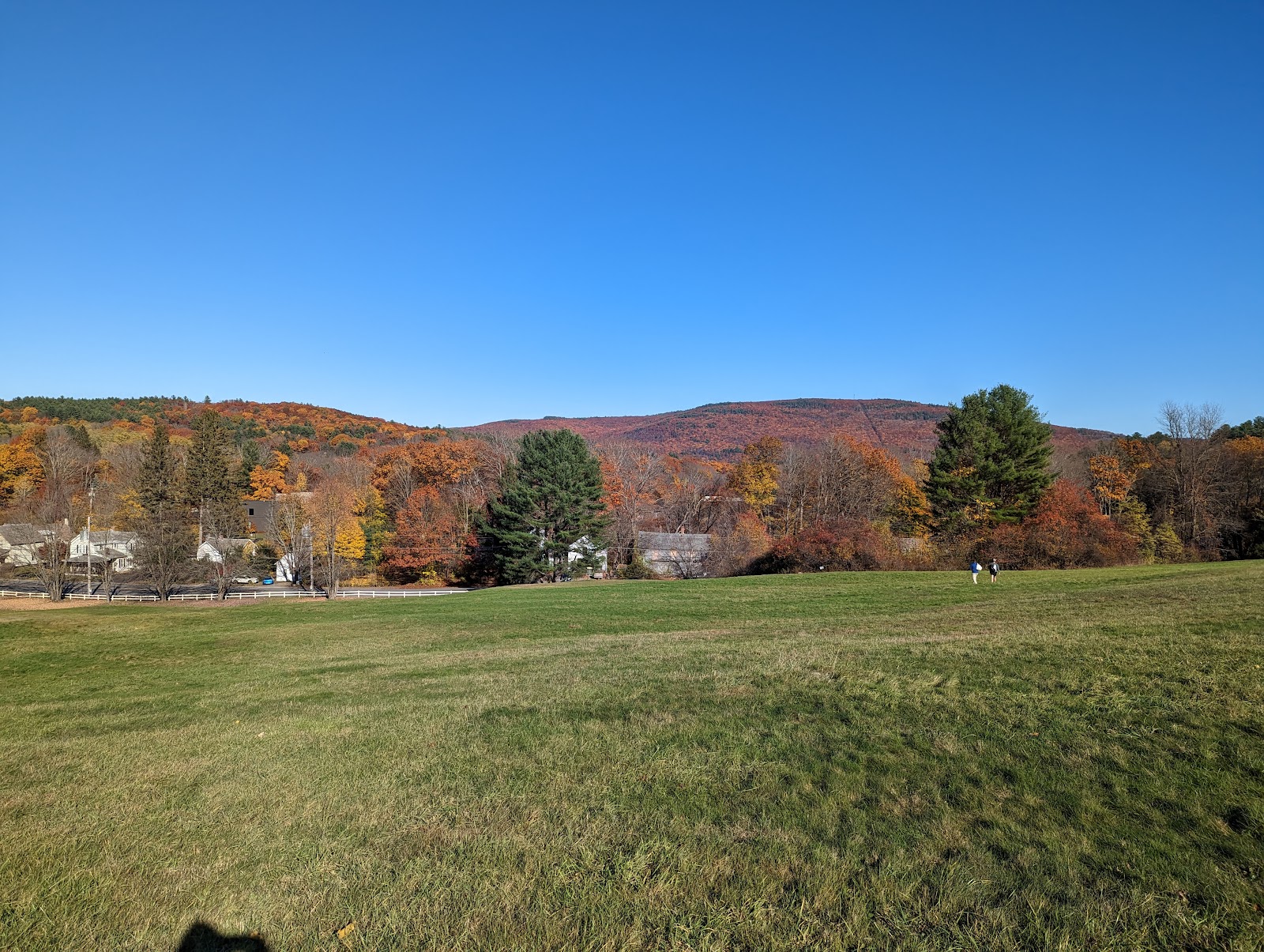 Living Memorial Park