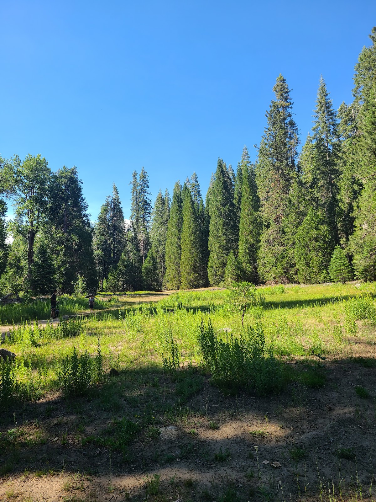 Greys Mountain Campground