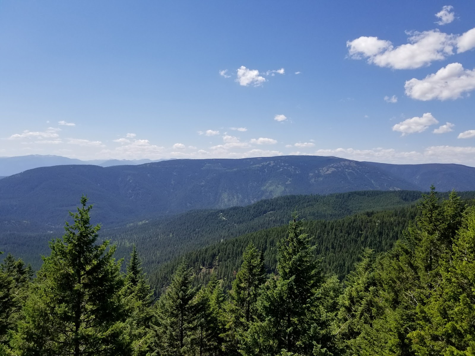 Deer Ridge Lookout