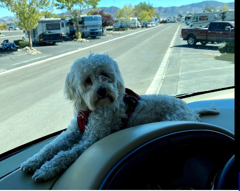 Grand Sierra Resort Casino and RV Park