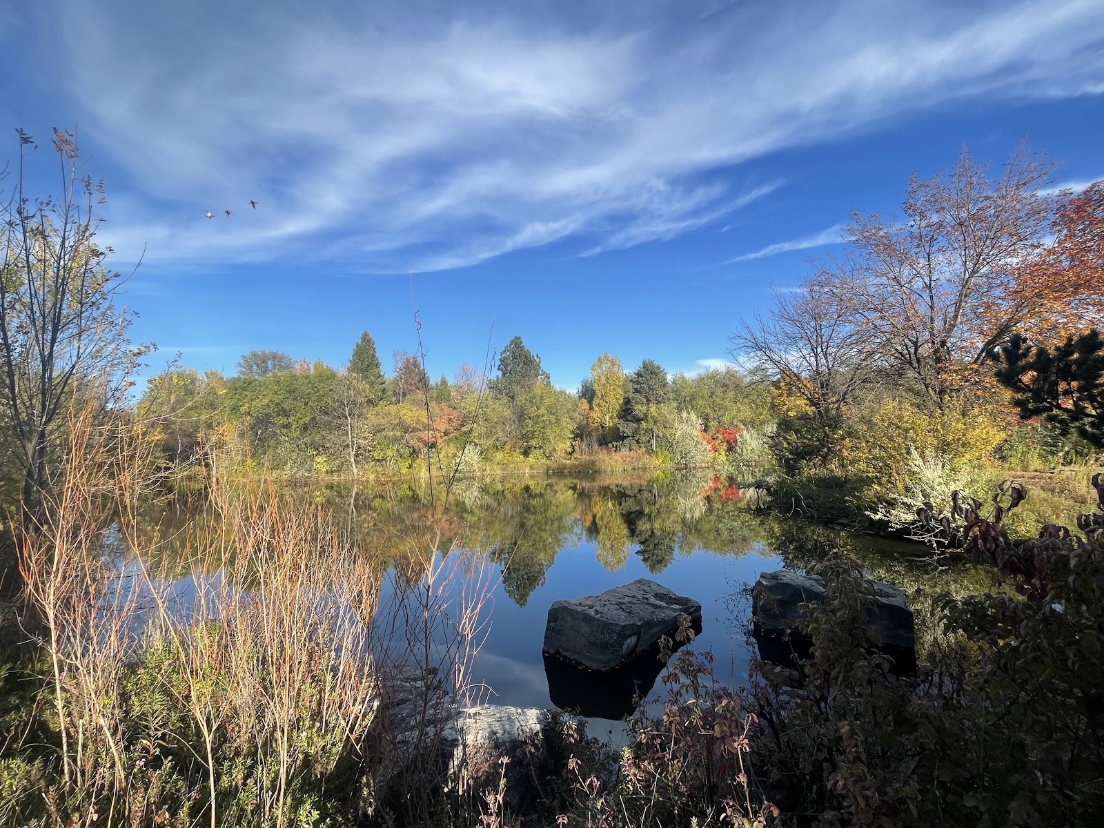 Kathryn Albertson Park