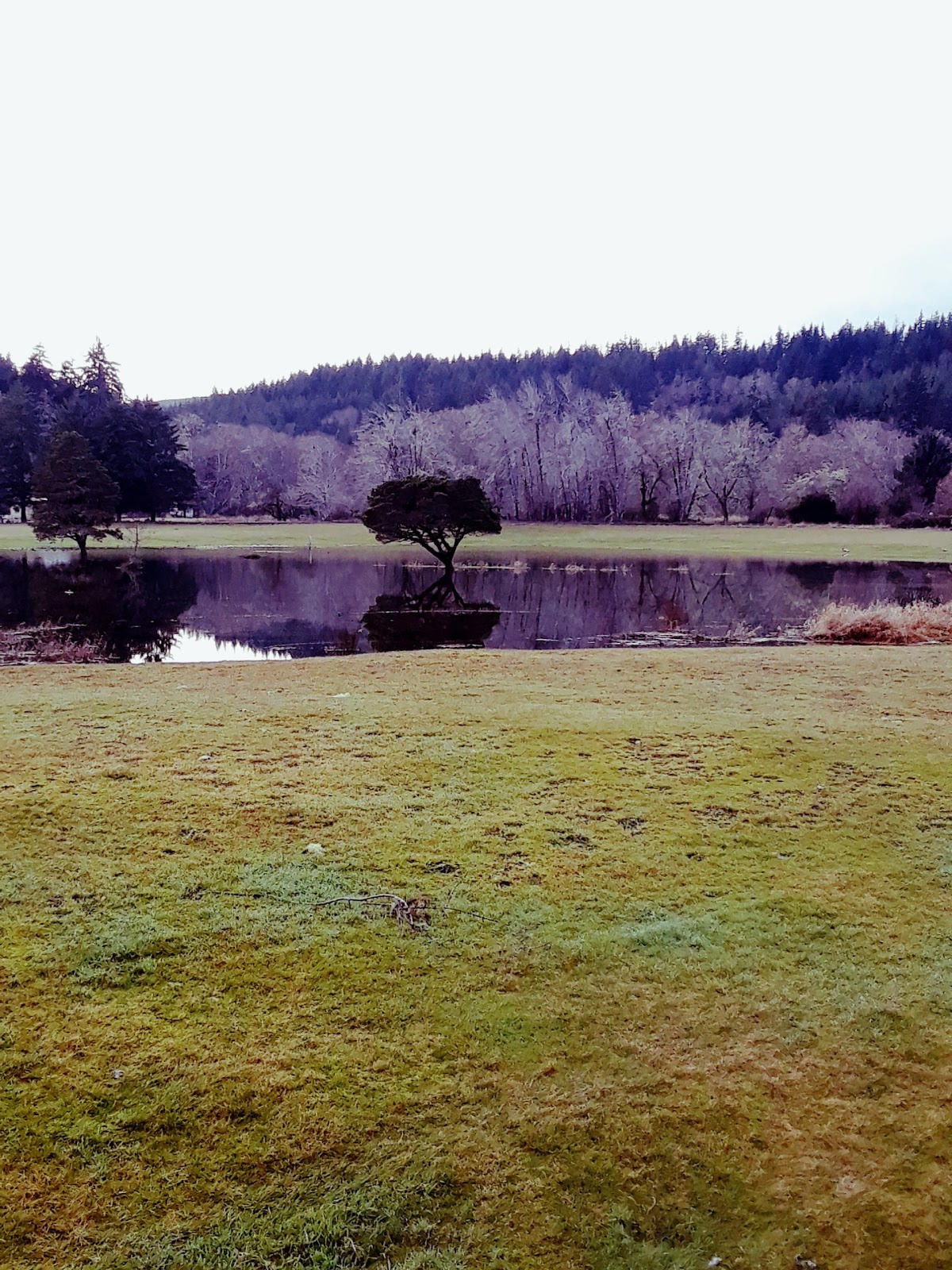 Willapa Harbor Golf Course and RV Park