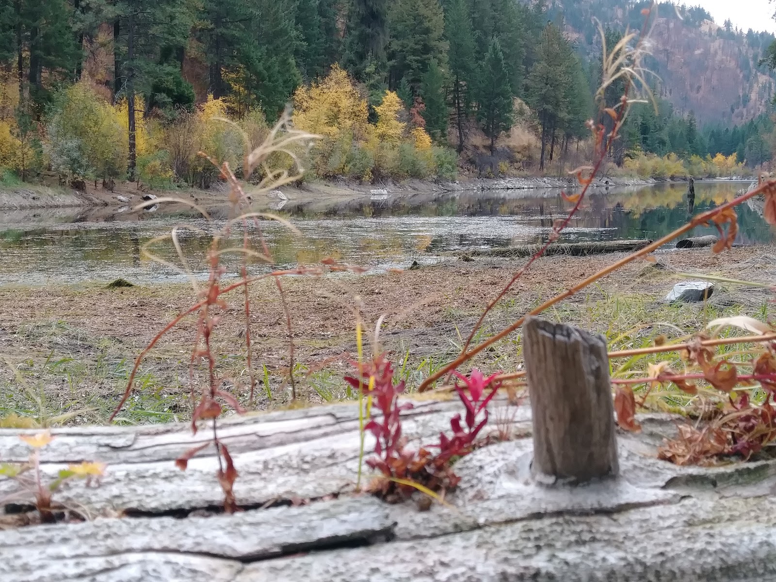 Sugarloaf Campground