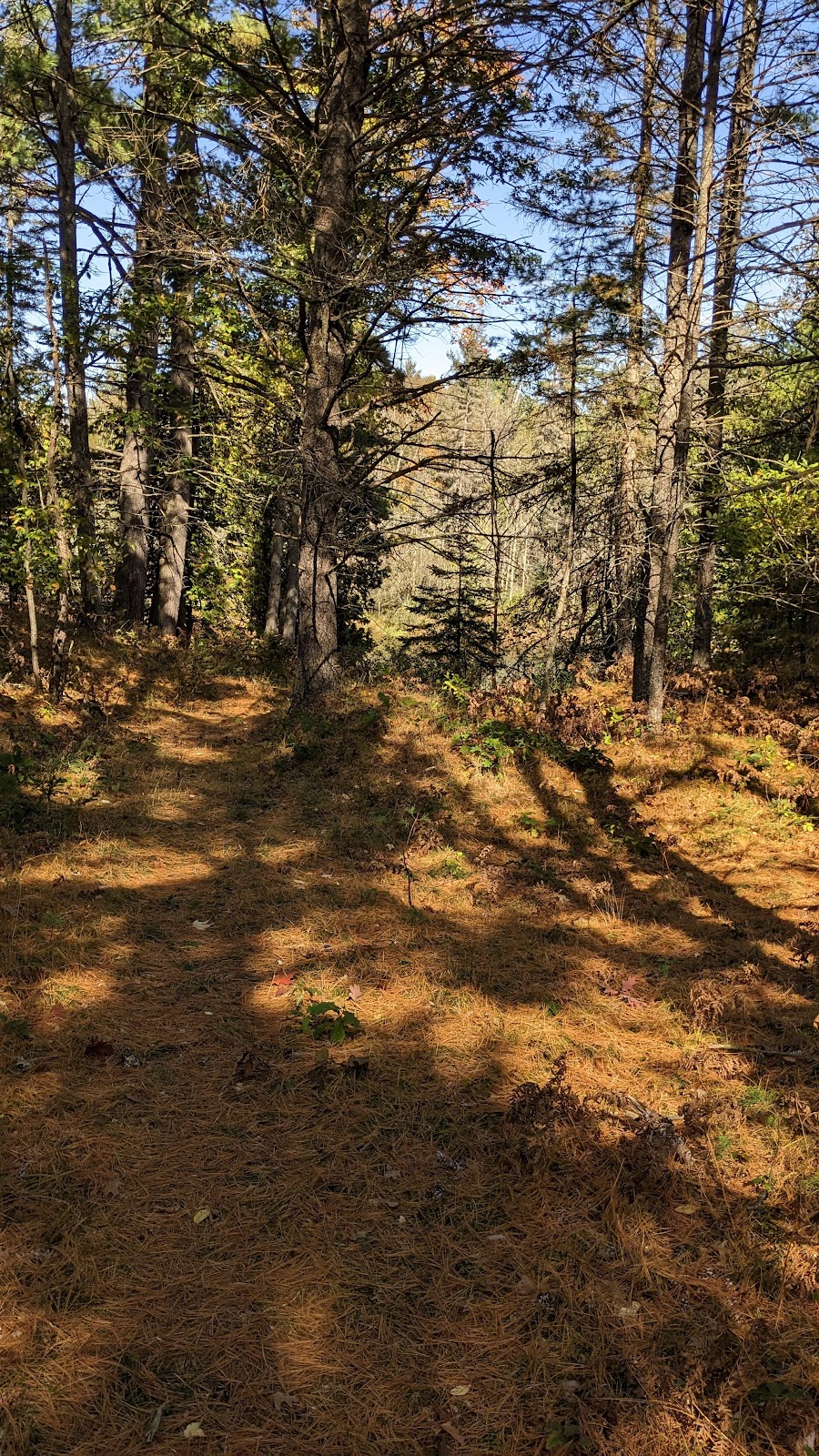 McKinley Horse Trail Campground