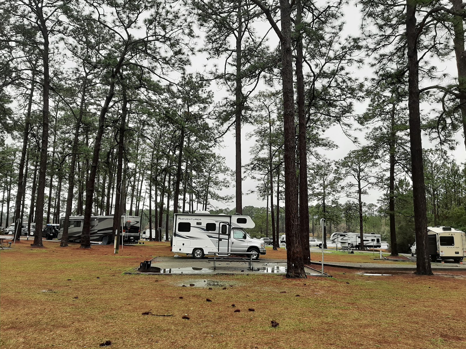 Laura S. Walker State Park