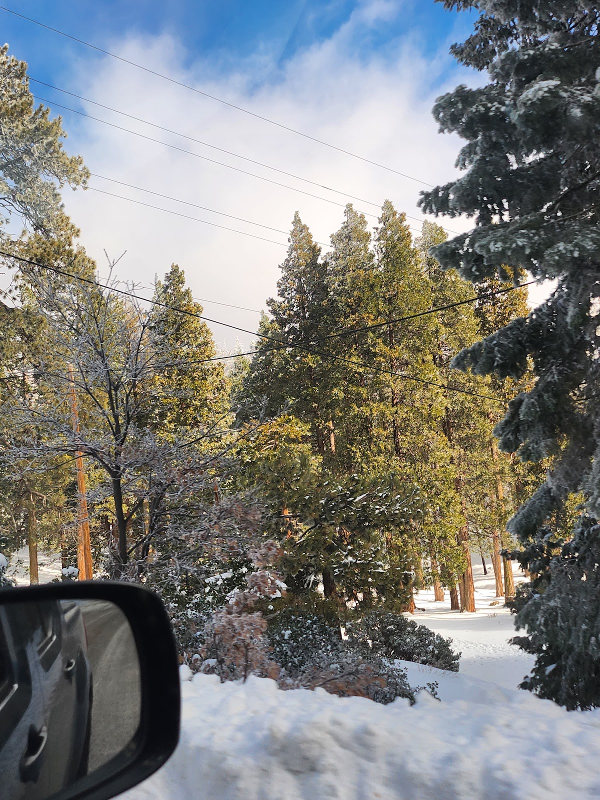 Greenhorn Mountain Park