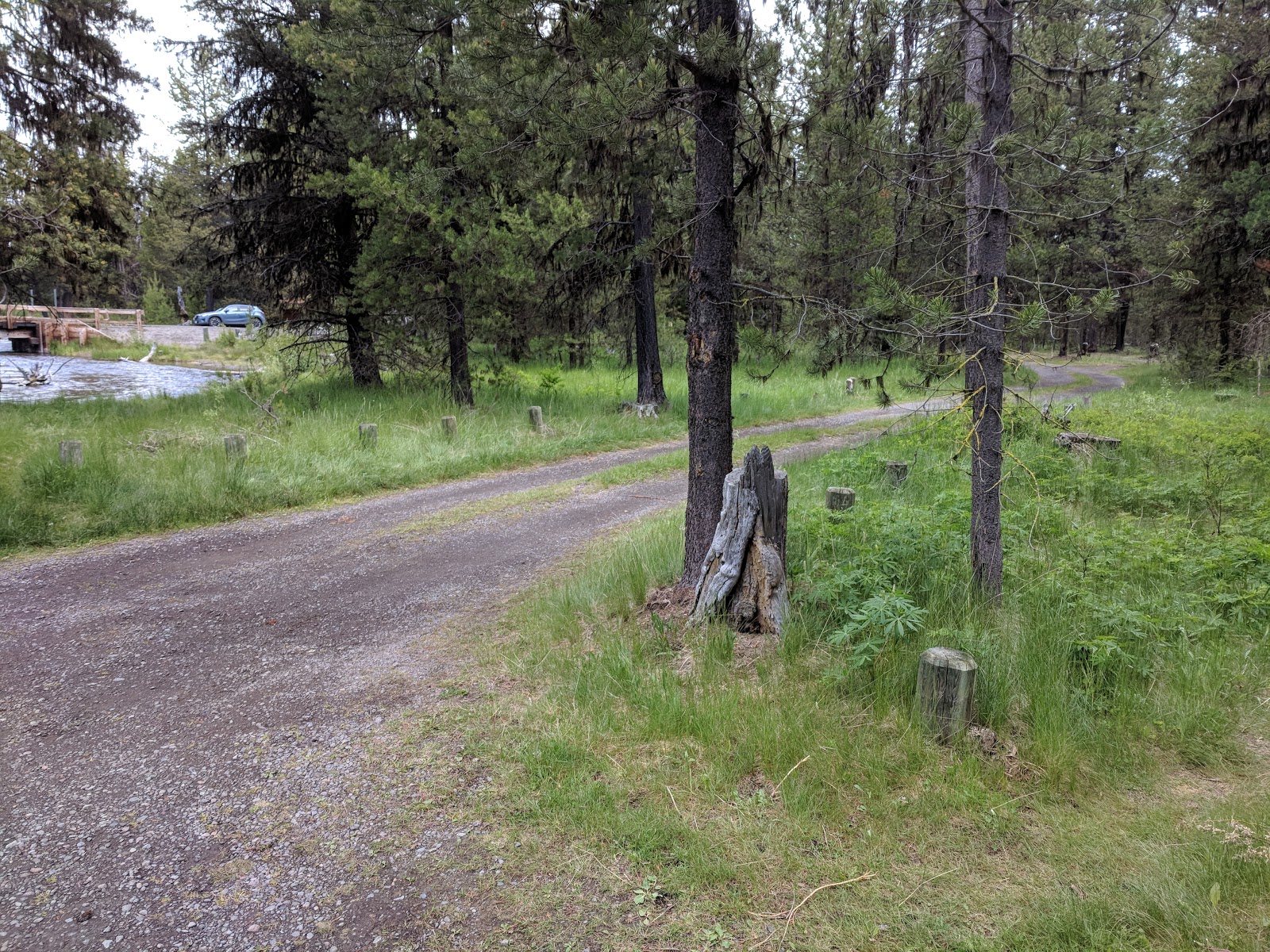 Cow Meadow Campground