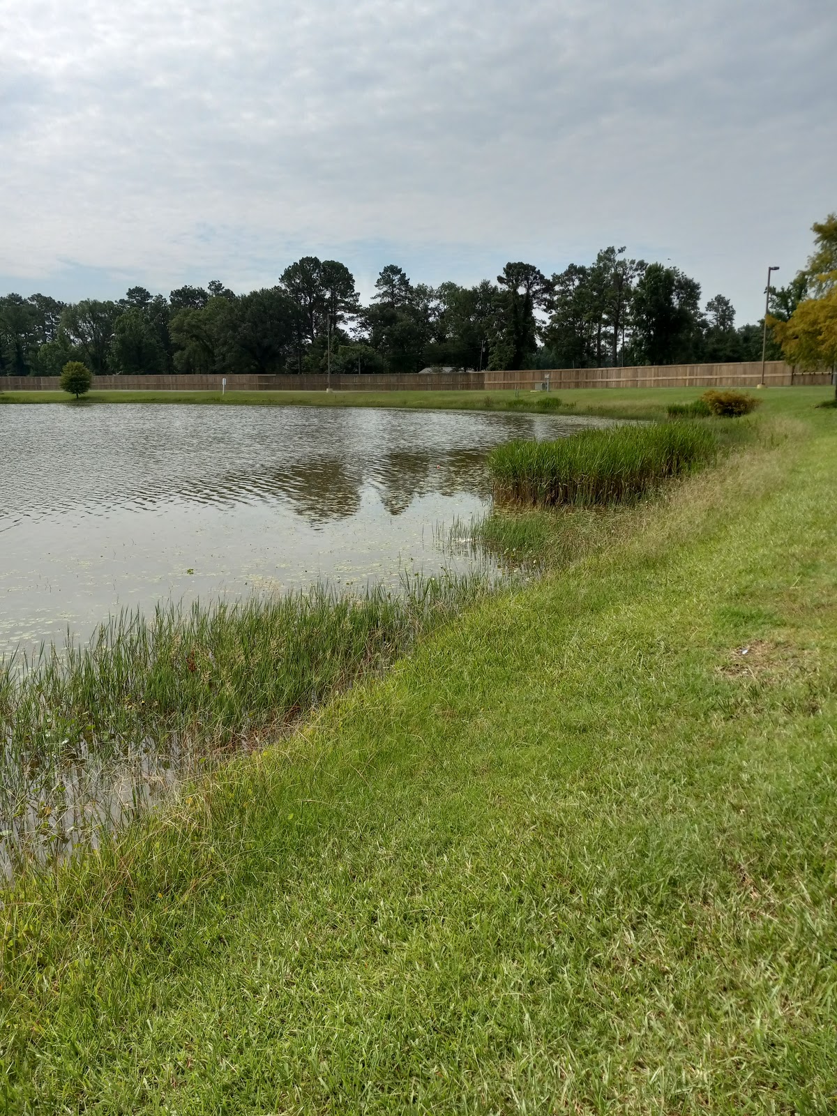 Red Shoes RV Park at Coushatta Casino Resort