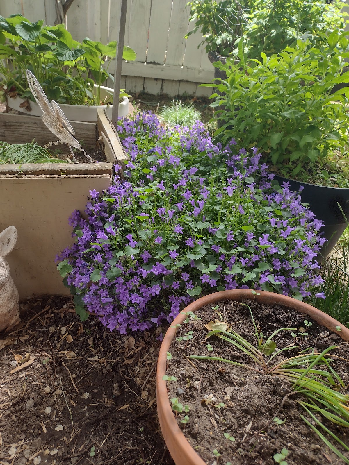 Shade Tree Village Mobile Home Park