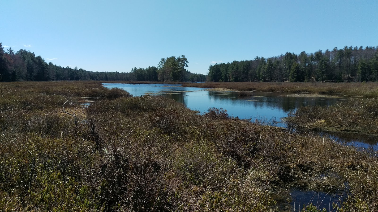 Petersham State Forest
