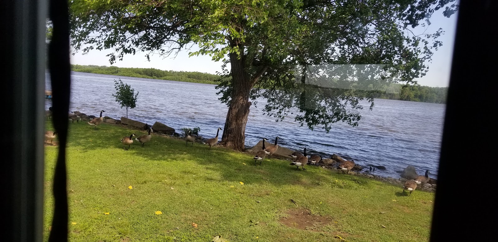 The Edge of the River Resort