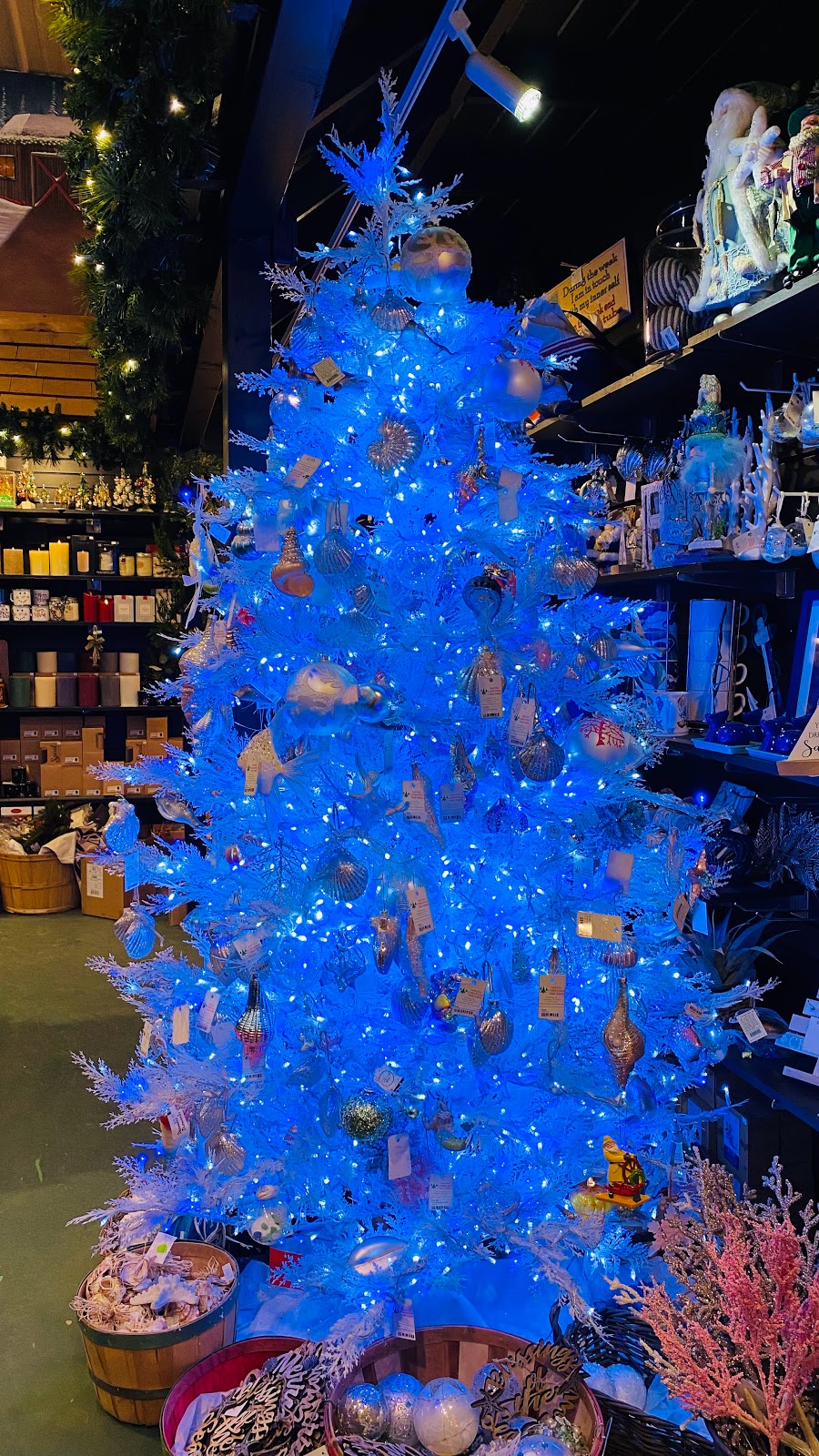 Cliff & Eds Campground