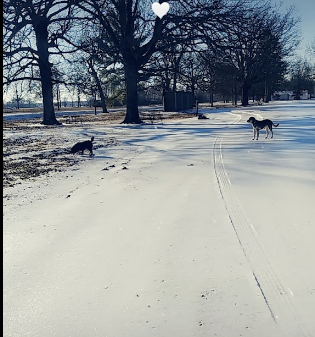 Duck Creek Conservation Area Headquarters