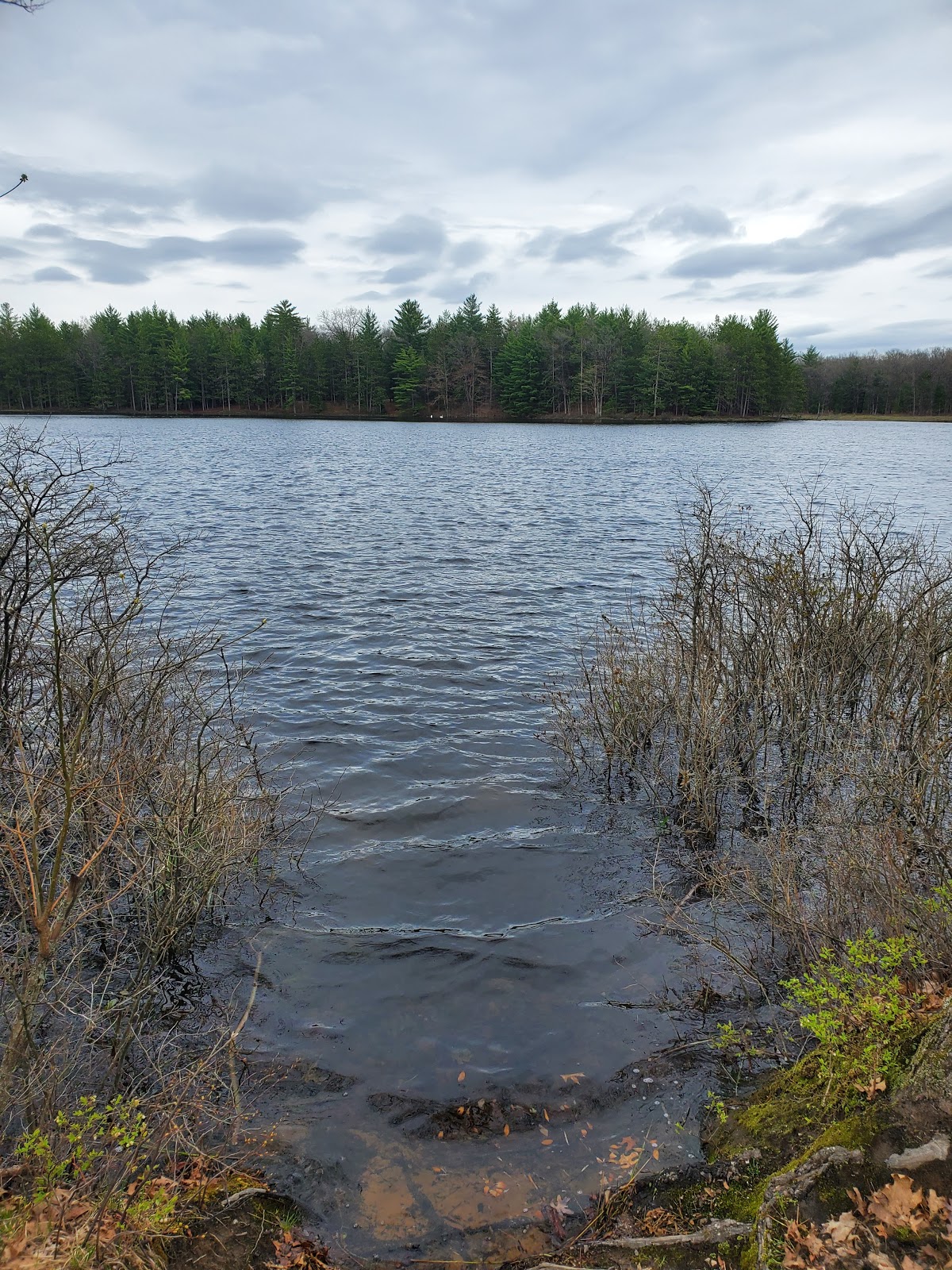 Shelley Lake Campground