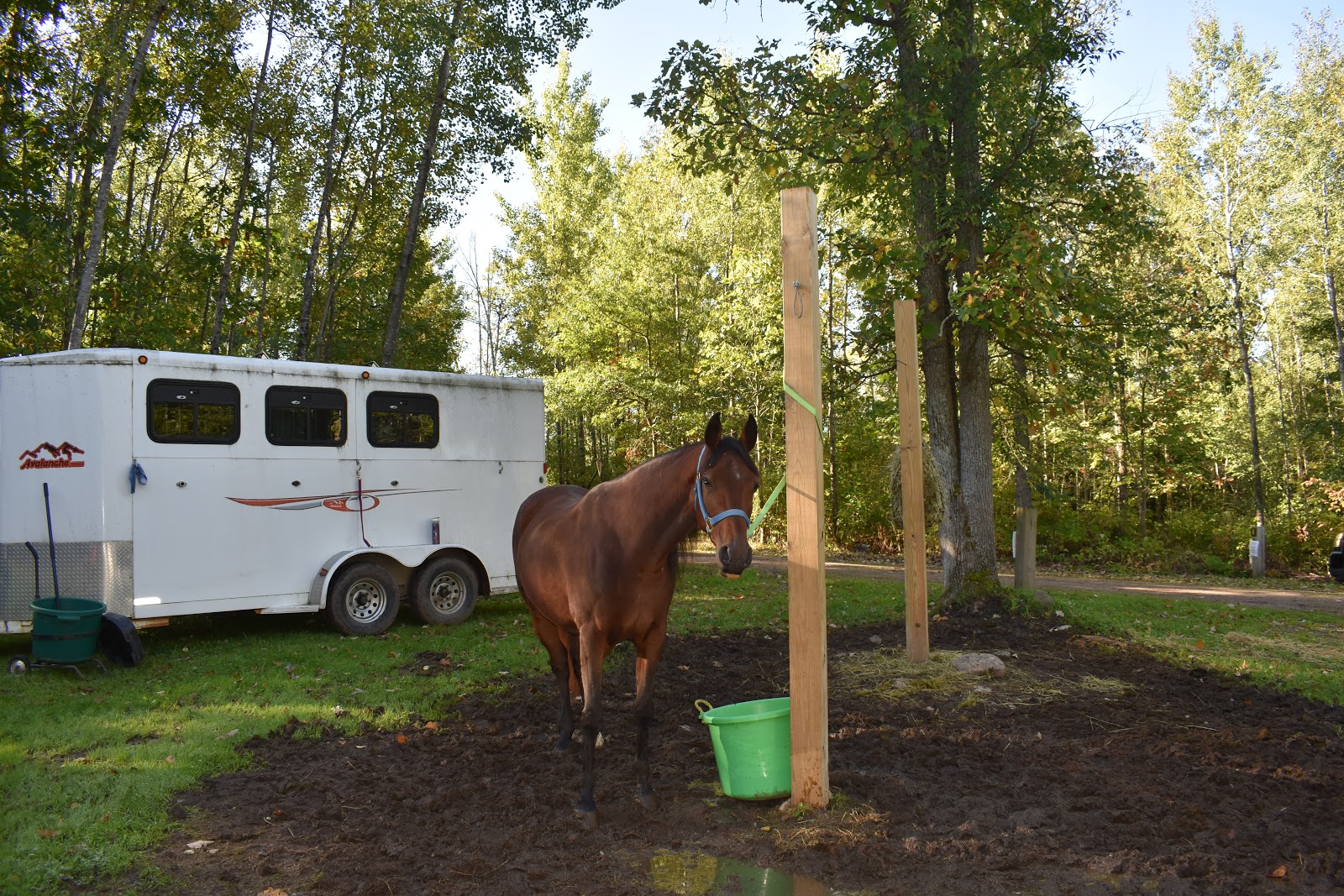 Dugan Run Horse Trails Campground