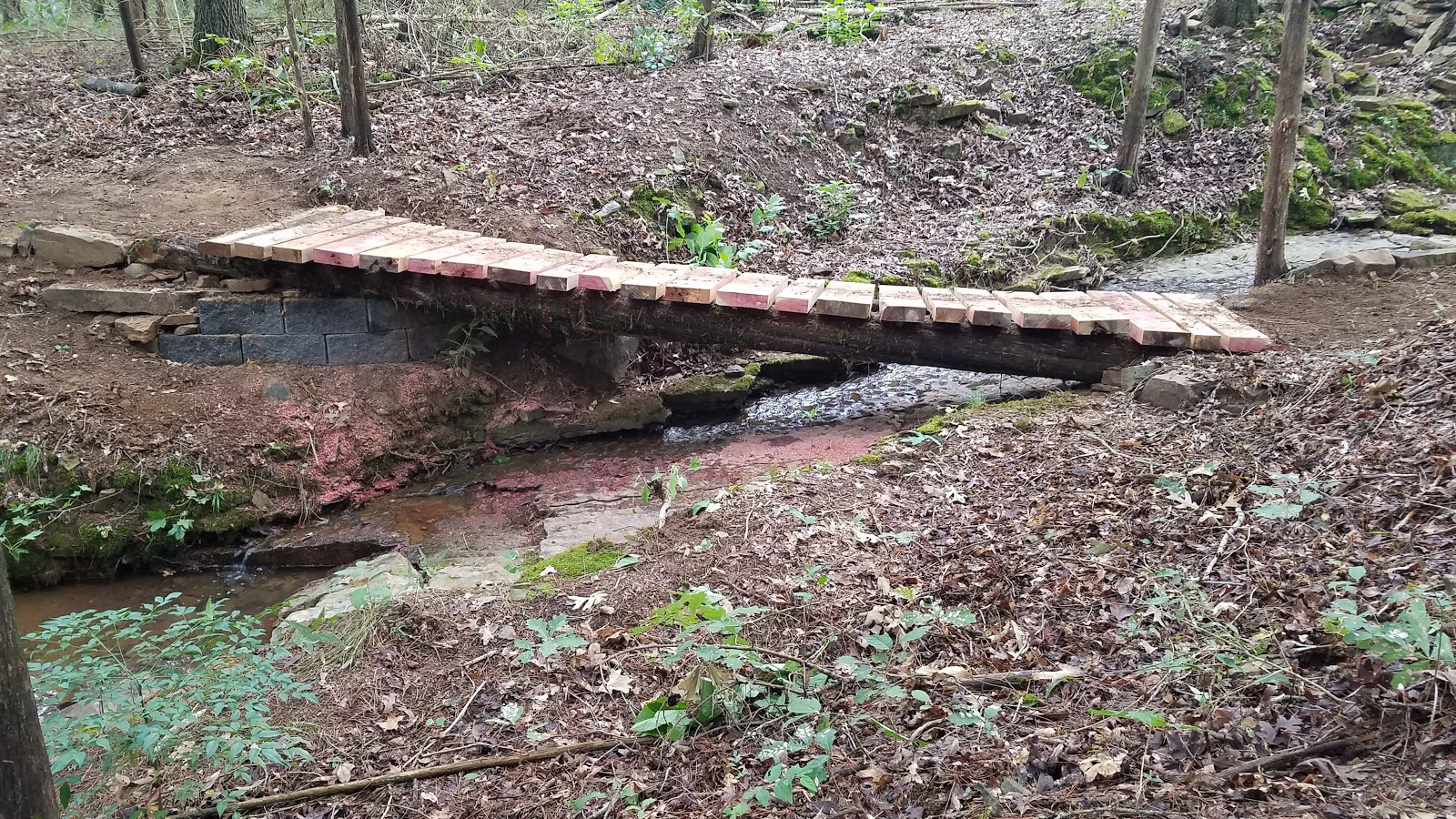 Ouita Coal Company Trail