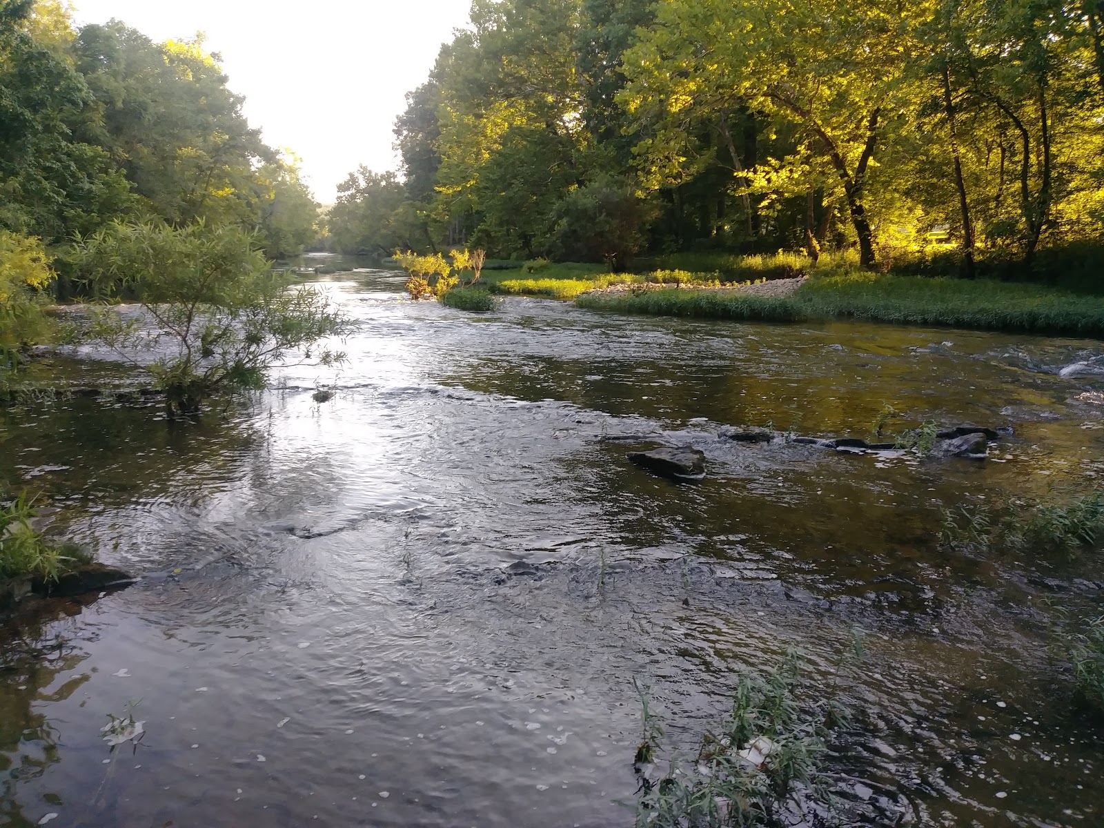 Southfork Canoe Resort