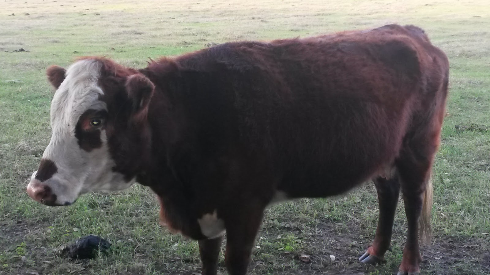Sundial Campground & Mobile Home Park