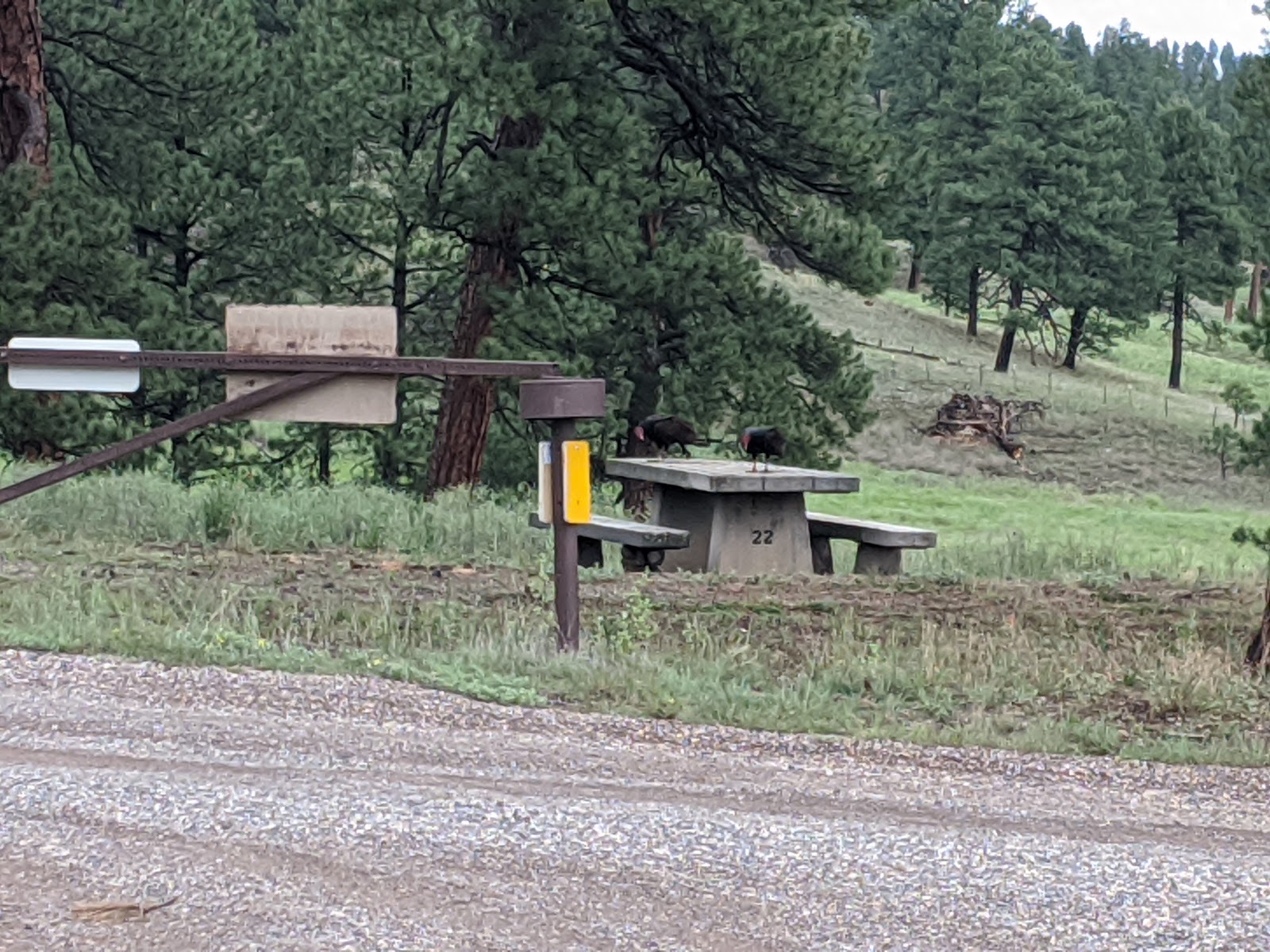 Dipping Vat Campground