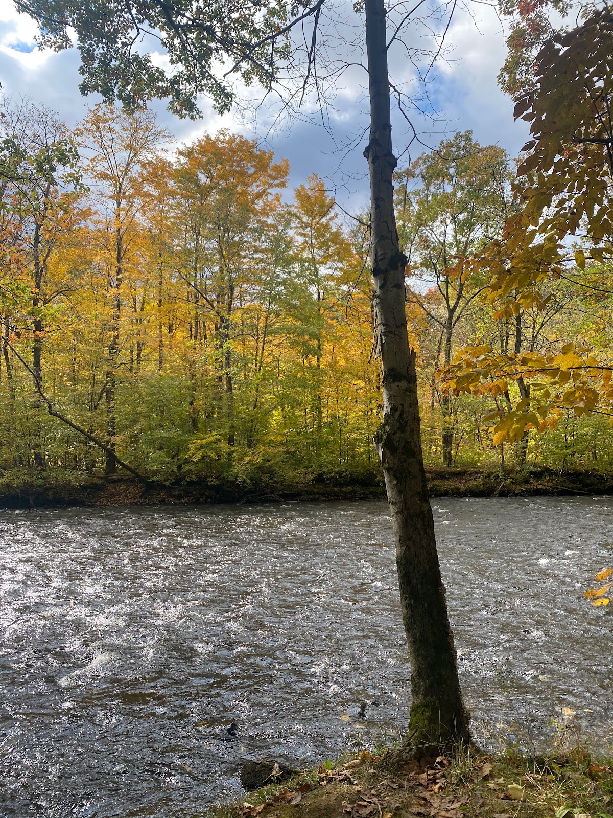 Stoney's Pineville RV Park