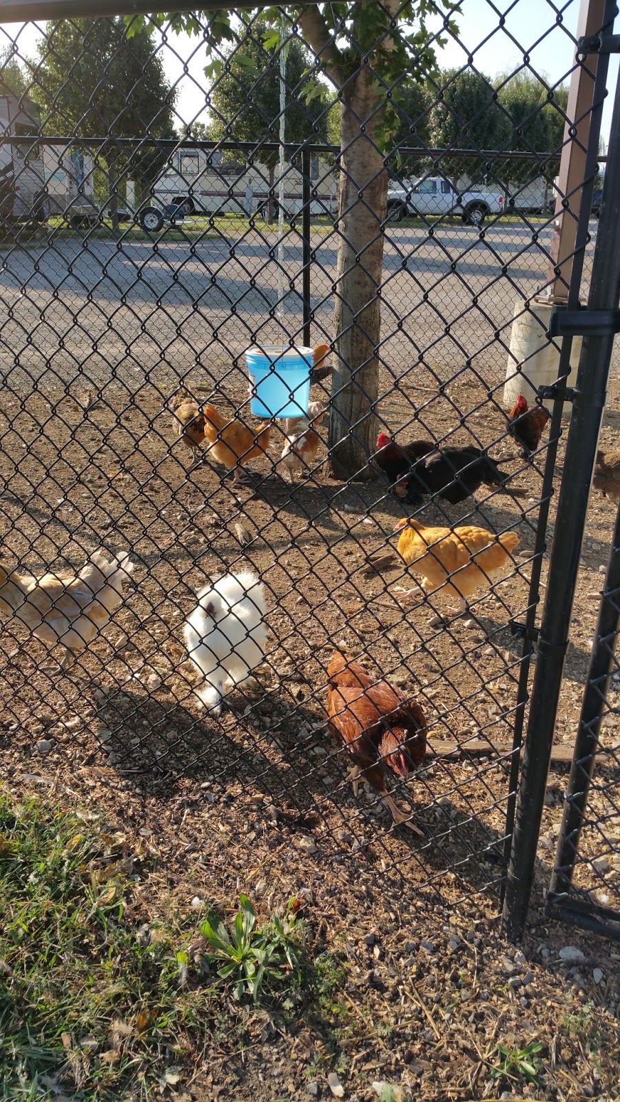 Forbes Landing RV Park