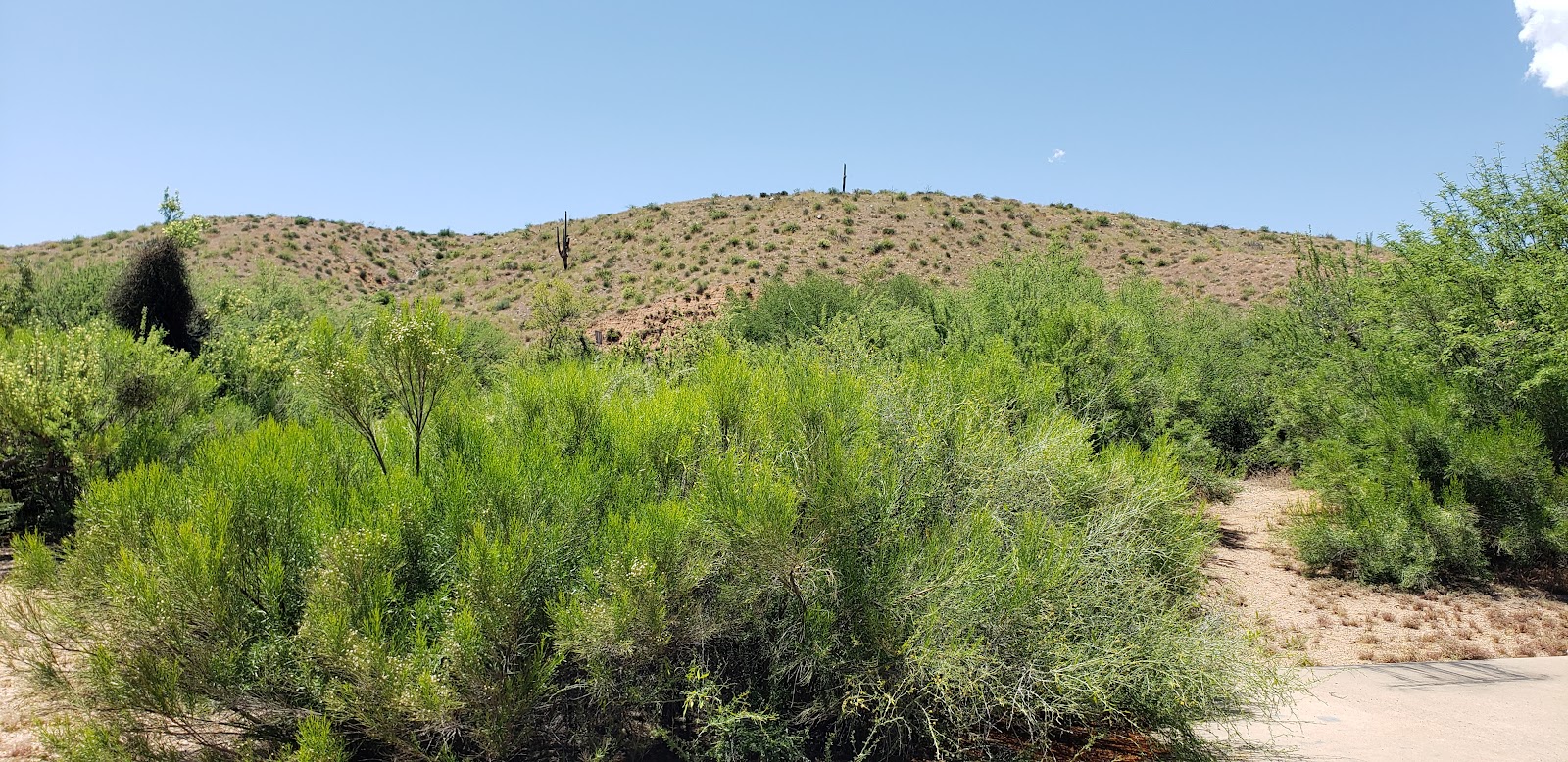 Roosevelt Lake - Bermuda Flat Campground