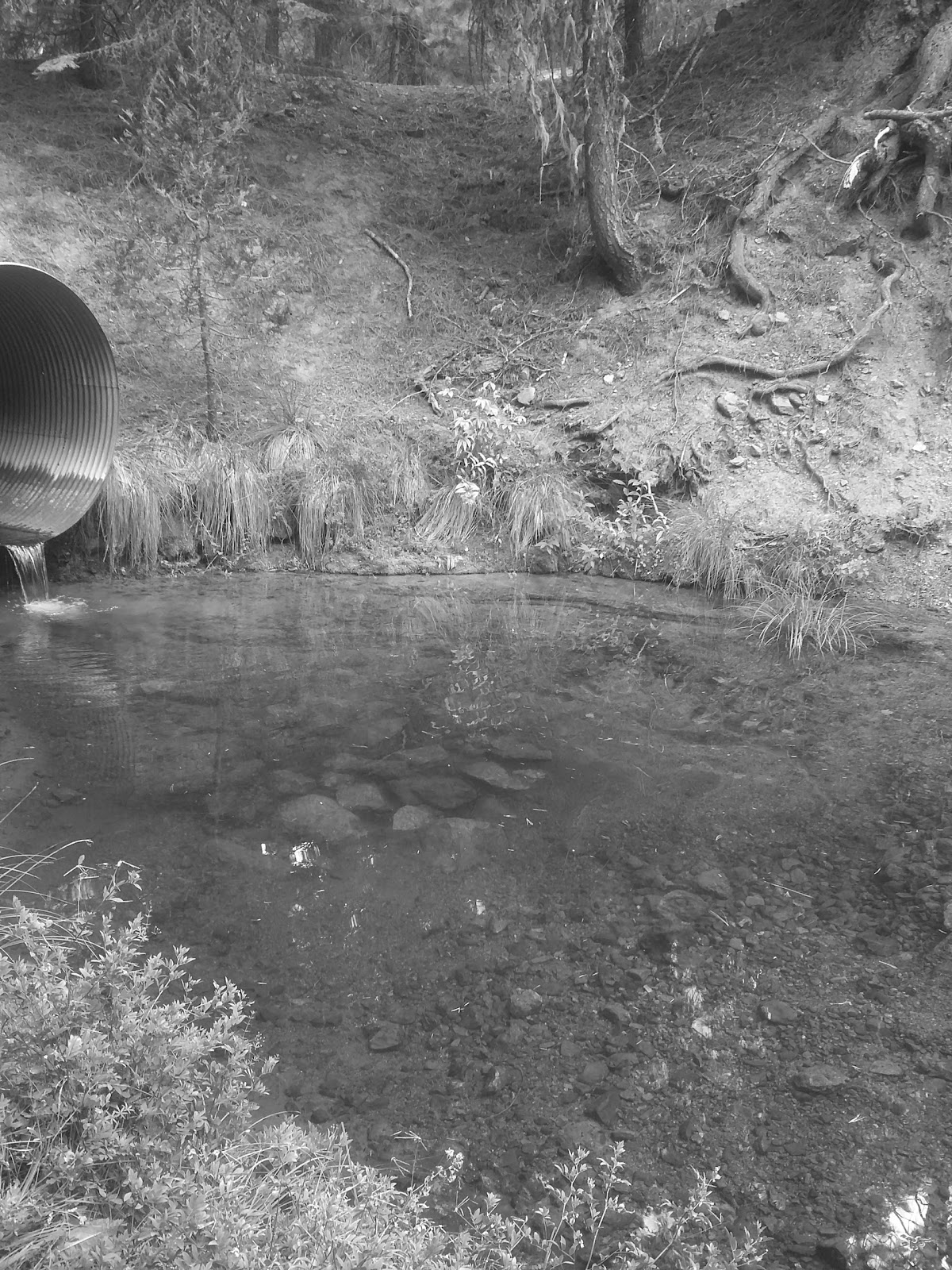 Lower Nye Campground