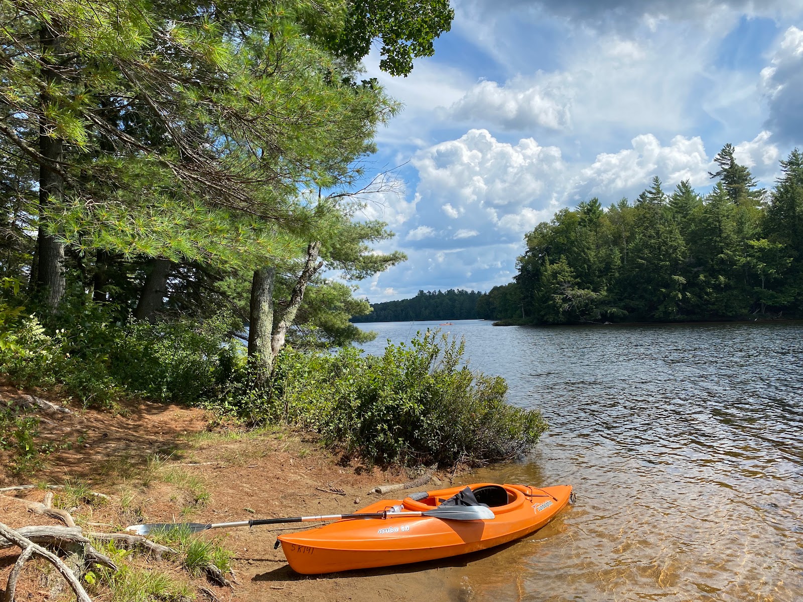 Rollins Pond Adirondack Preserve