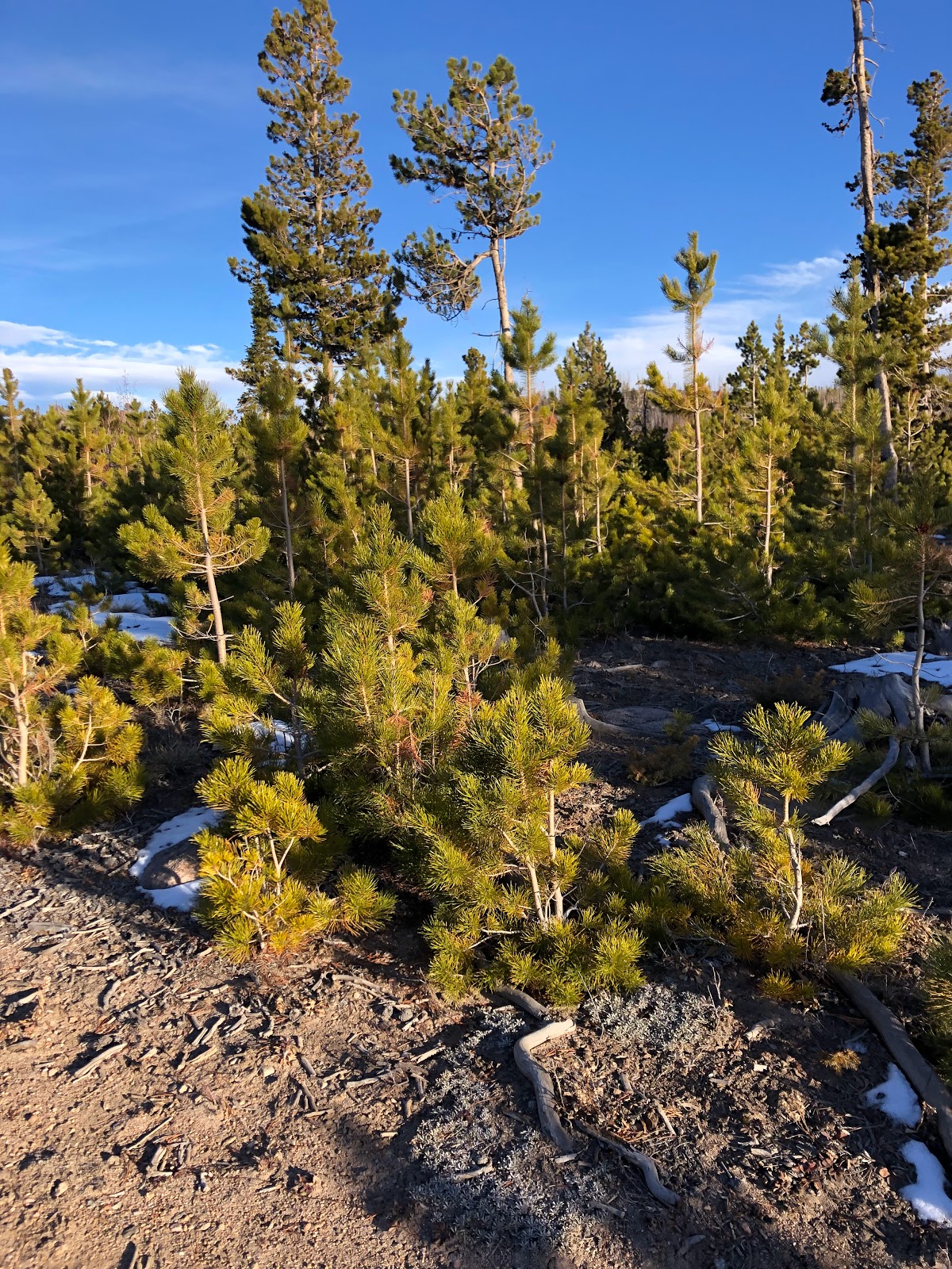 Big Creek Lakes Campground