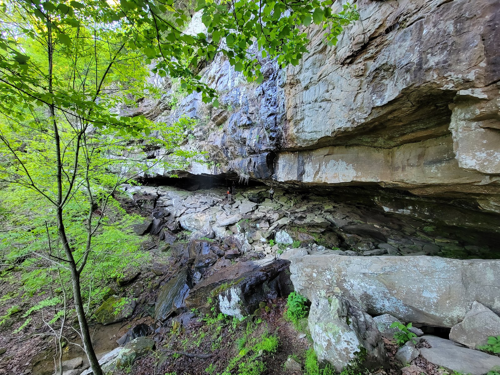 Horseshoe Canyon Ranch