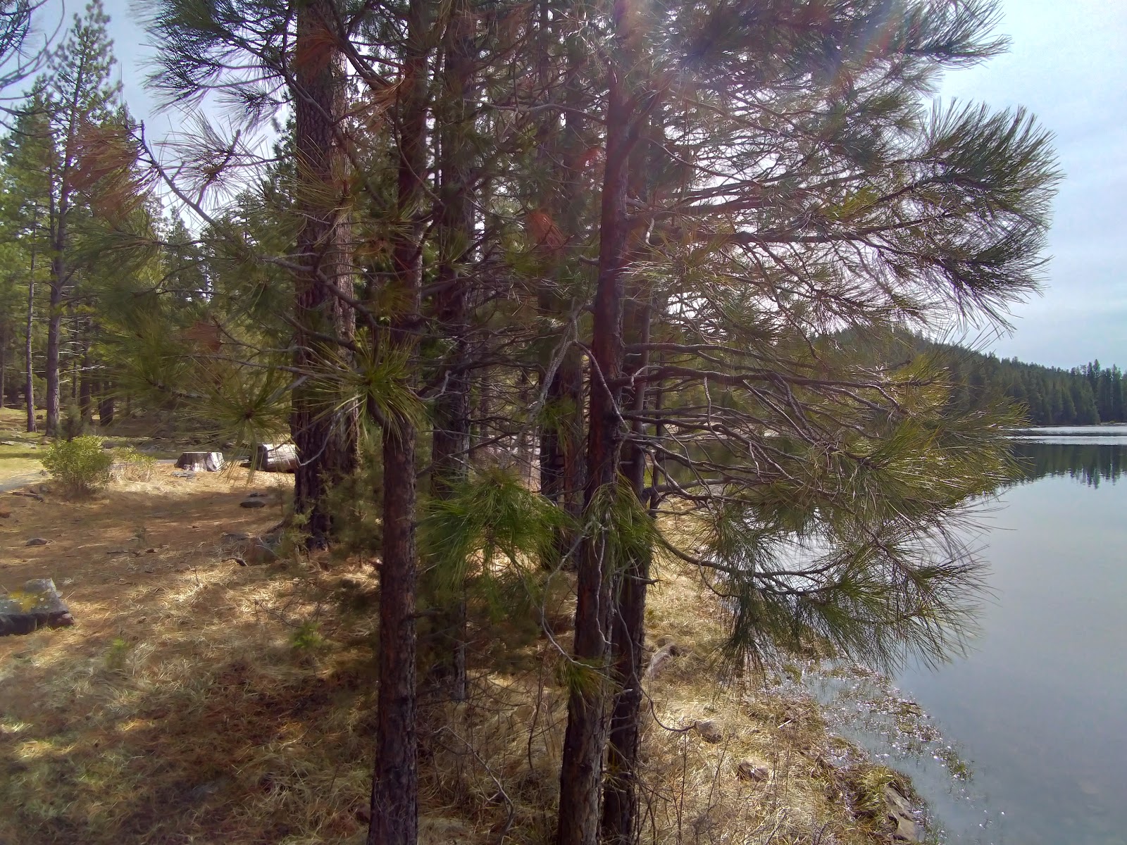 Juanita Lake Group Campsite