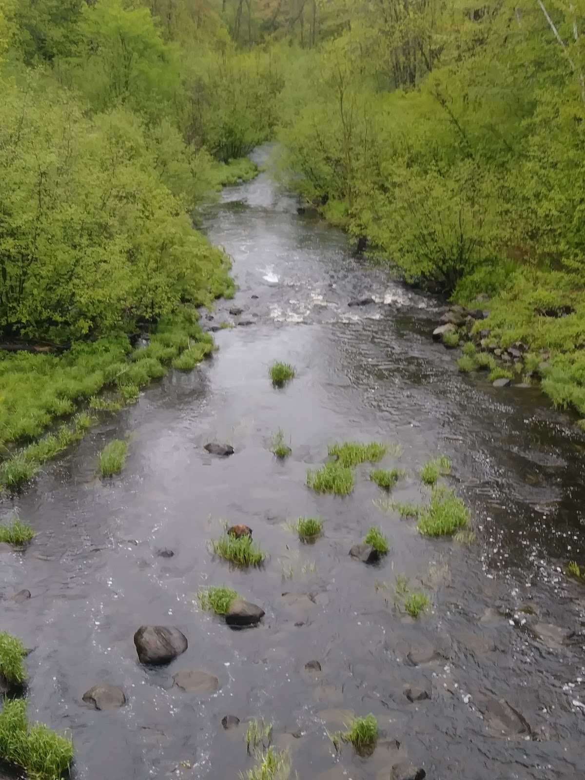 Otter Lake Park Campground
