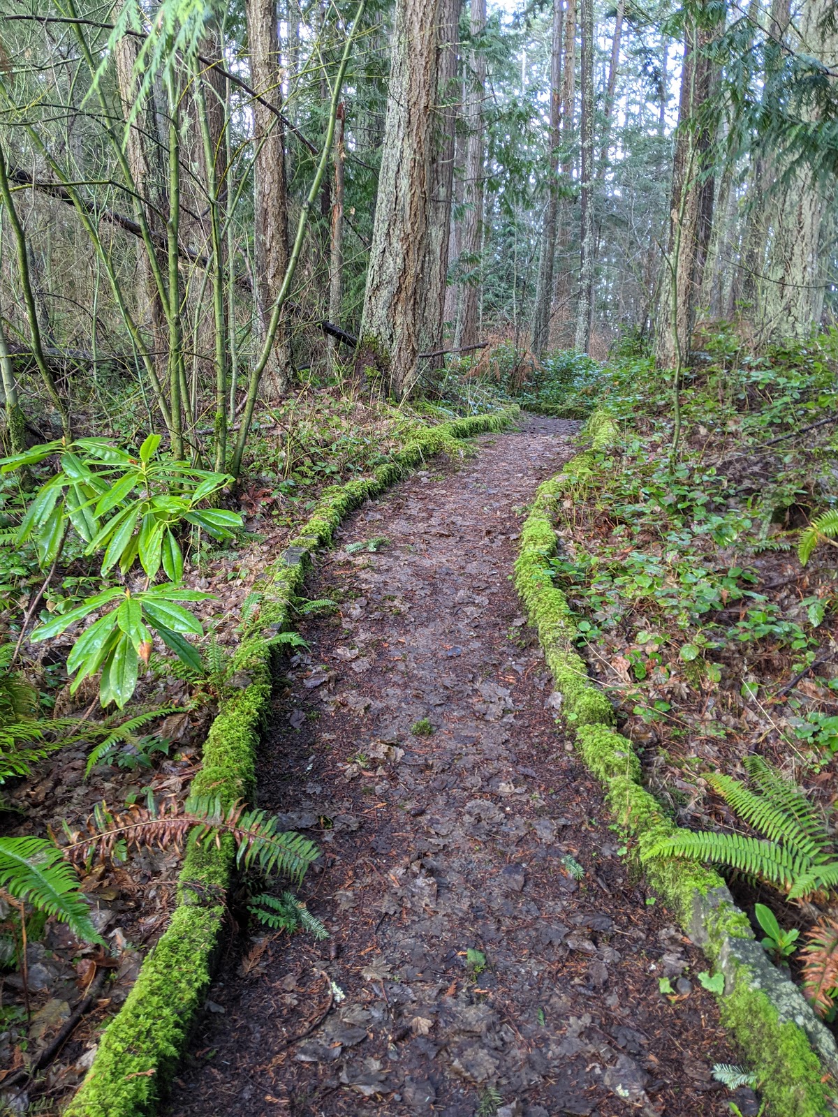 Olympic National Park