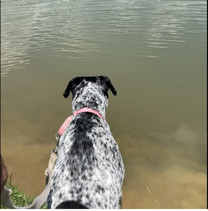 Parkers Crossroads RV Park and Campground