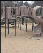 Bailey Ford Delaware County Park