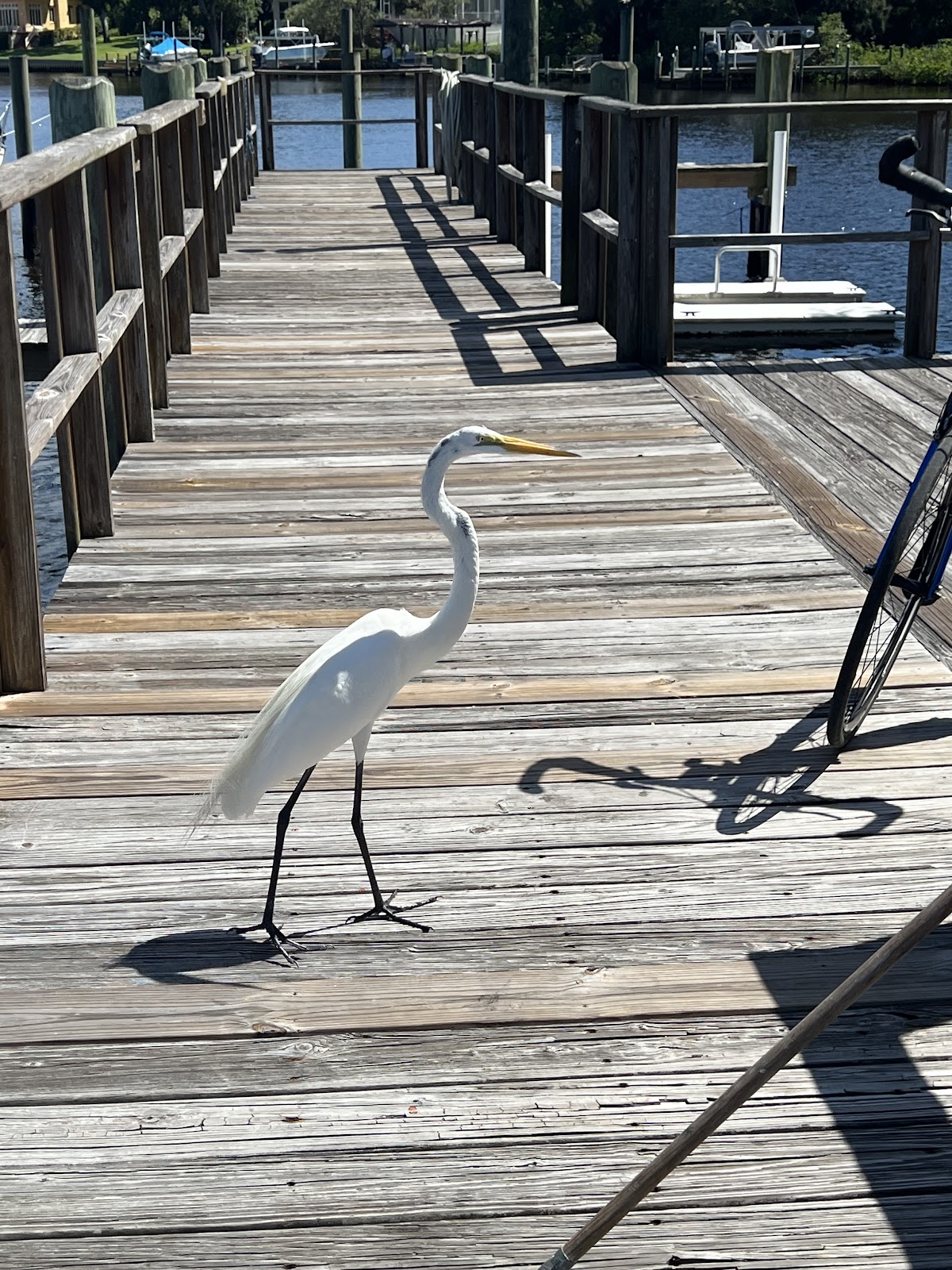 Bayshore Cove RV Park