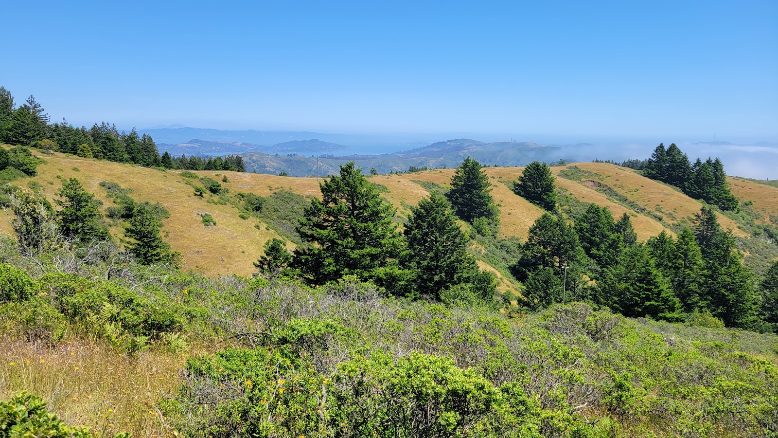 Mount Tamalpais State Park
