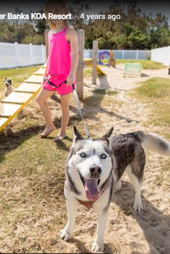 Cape Hatteras-Outer Banks KOA Resort