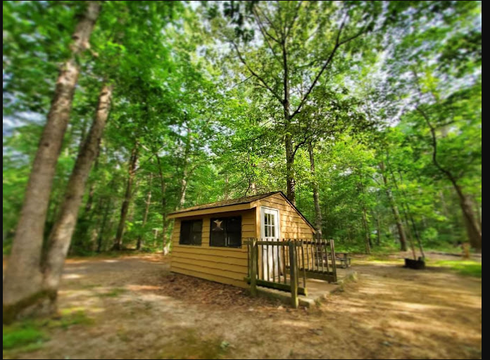 Belleplain State Forest