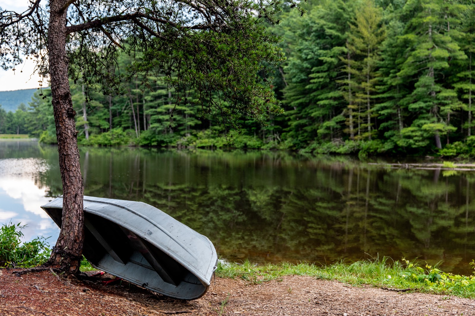 Cold Sulphur Camp Ground