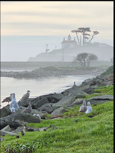 Shoreline RV Park & Campground