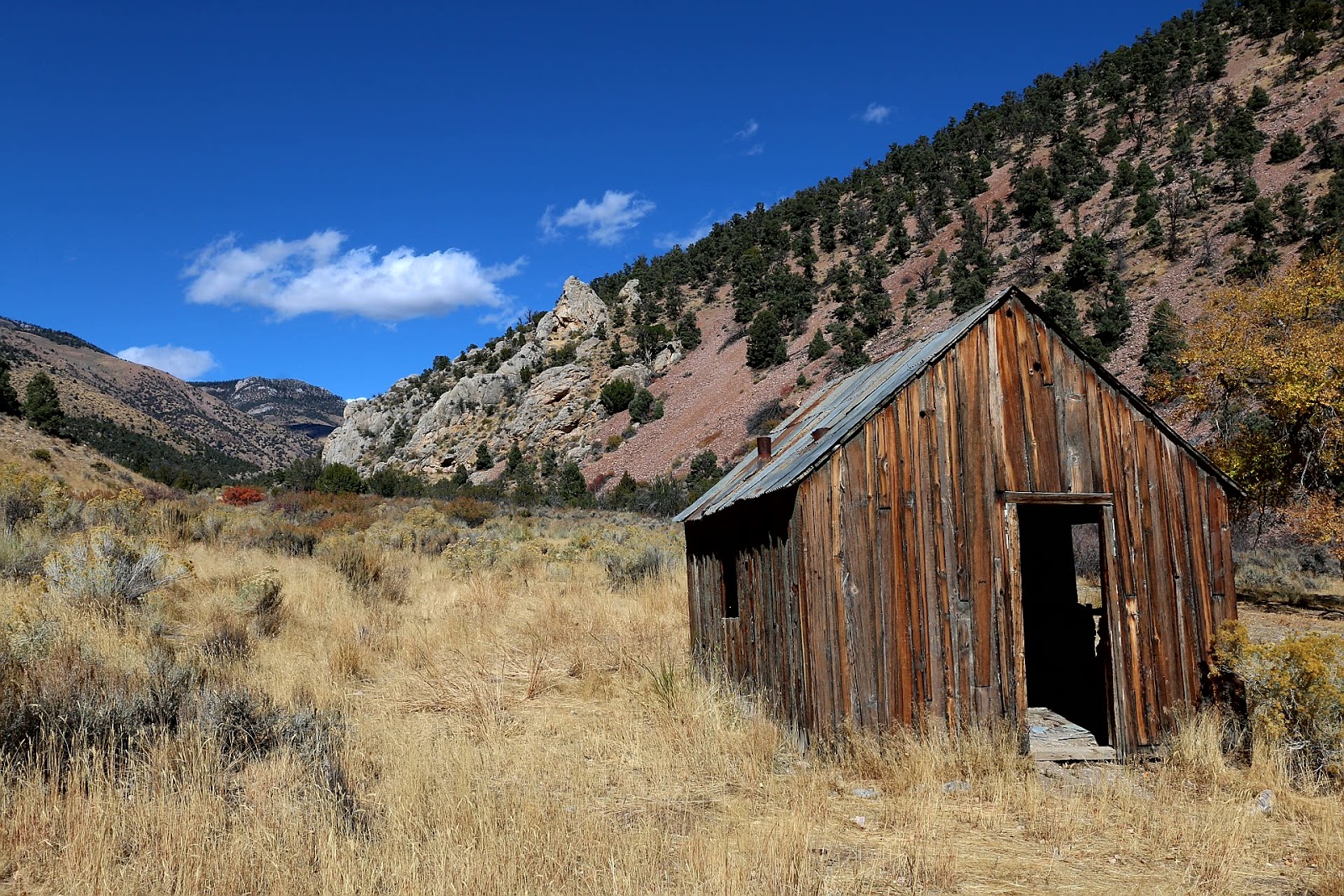 Cleve Creek Campground