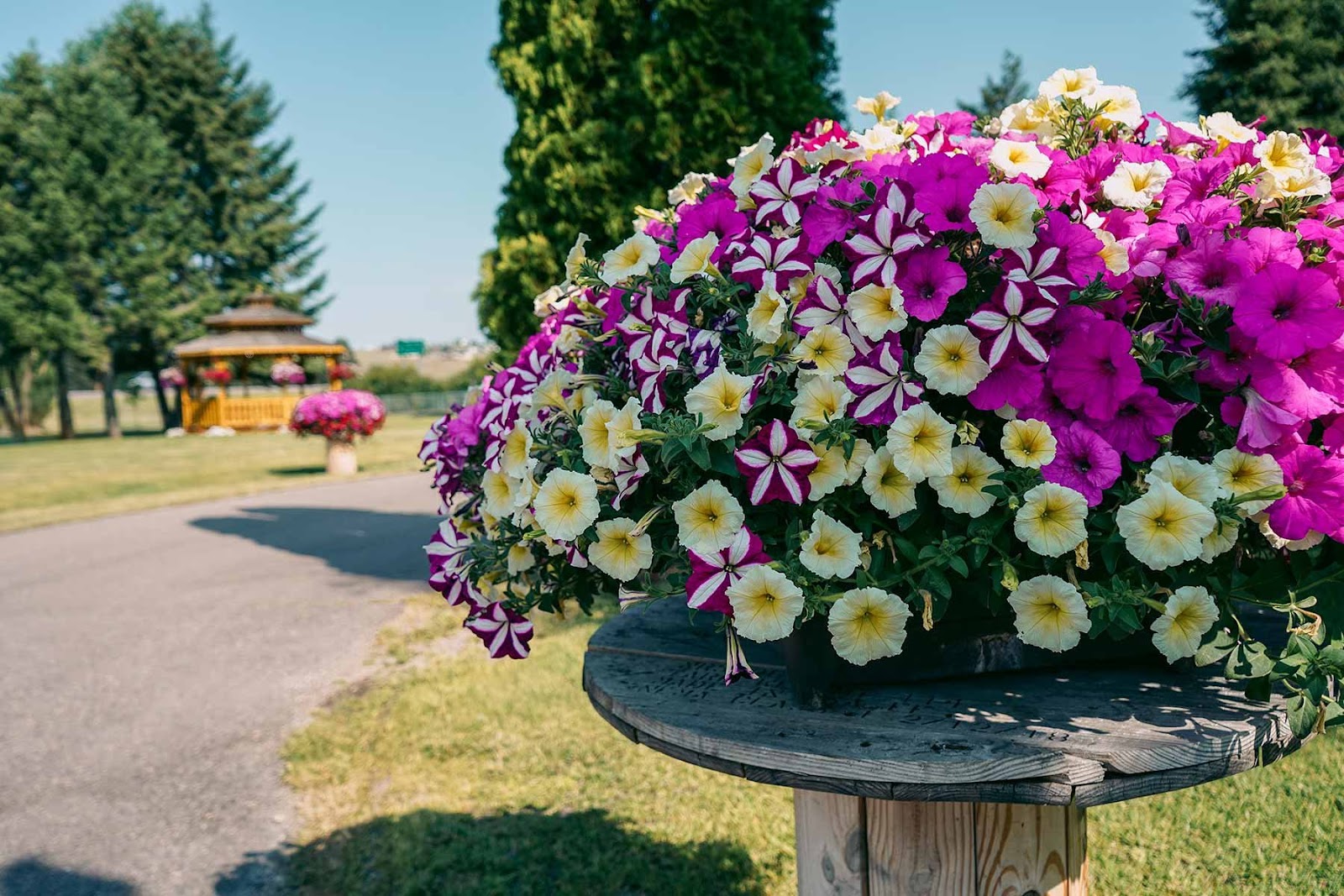 Jim and Marys RV Park