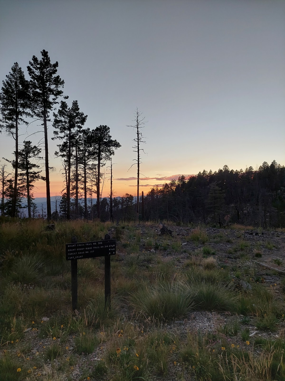 Columbine Corrals Campground