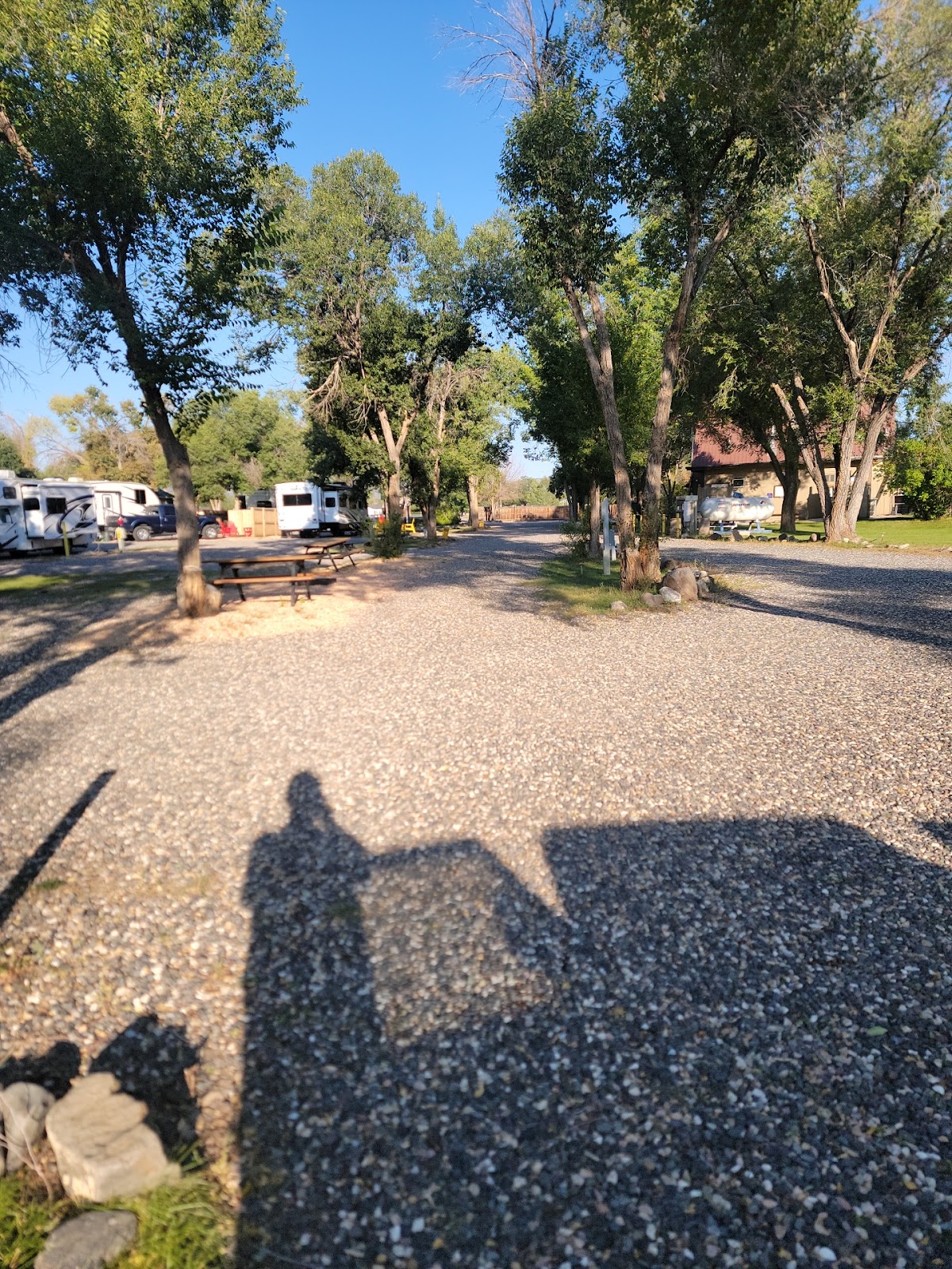 Dixie Forest RV Resort