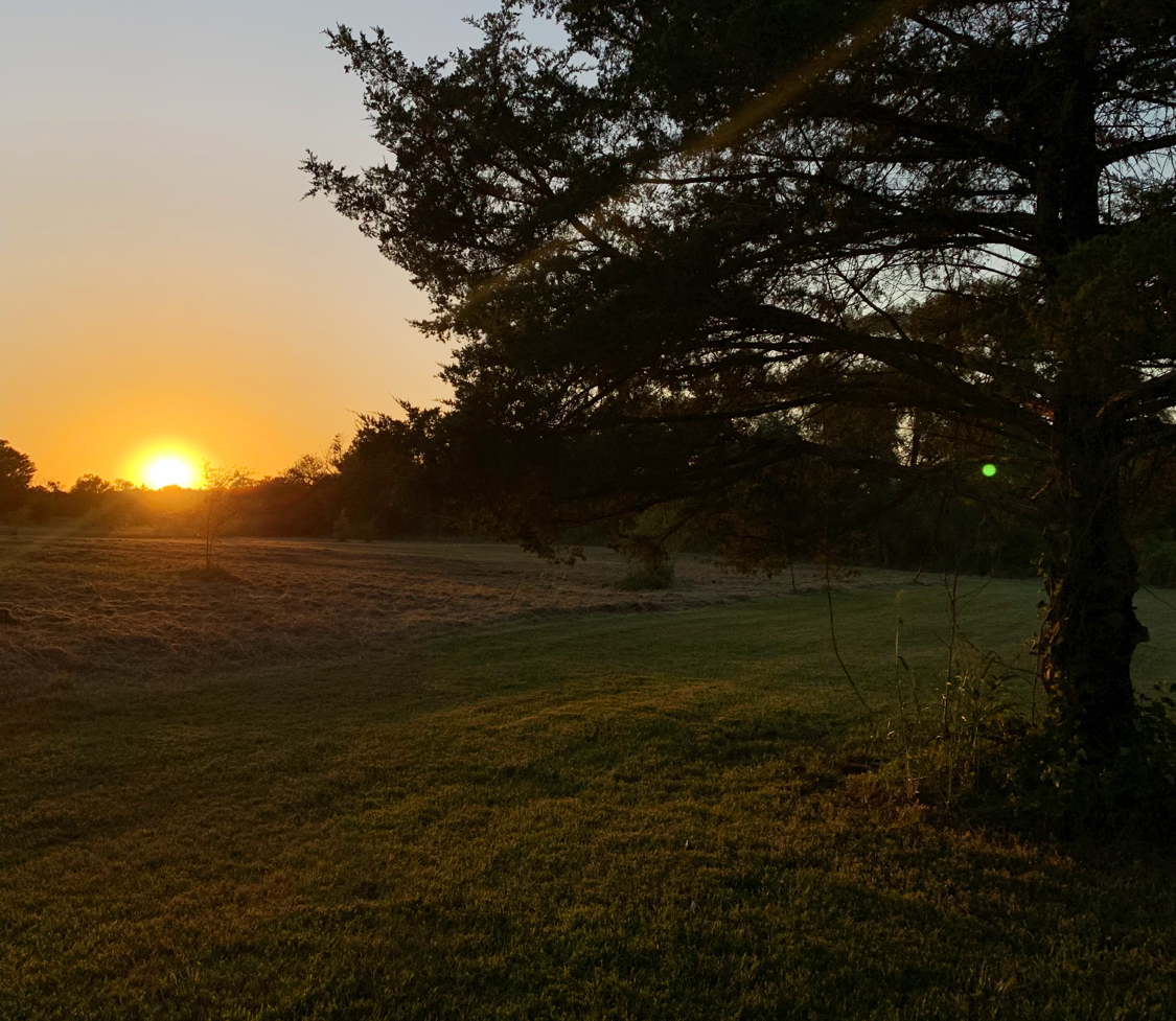 Waco Wego Campground