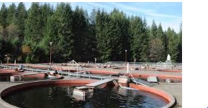 Marion Forks Campground