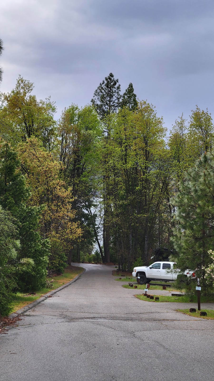 Lupine Cedar Bluff Campground