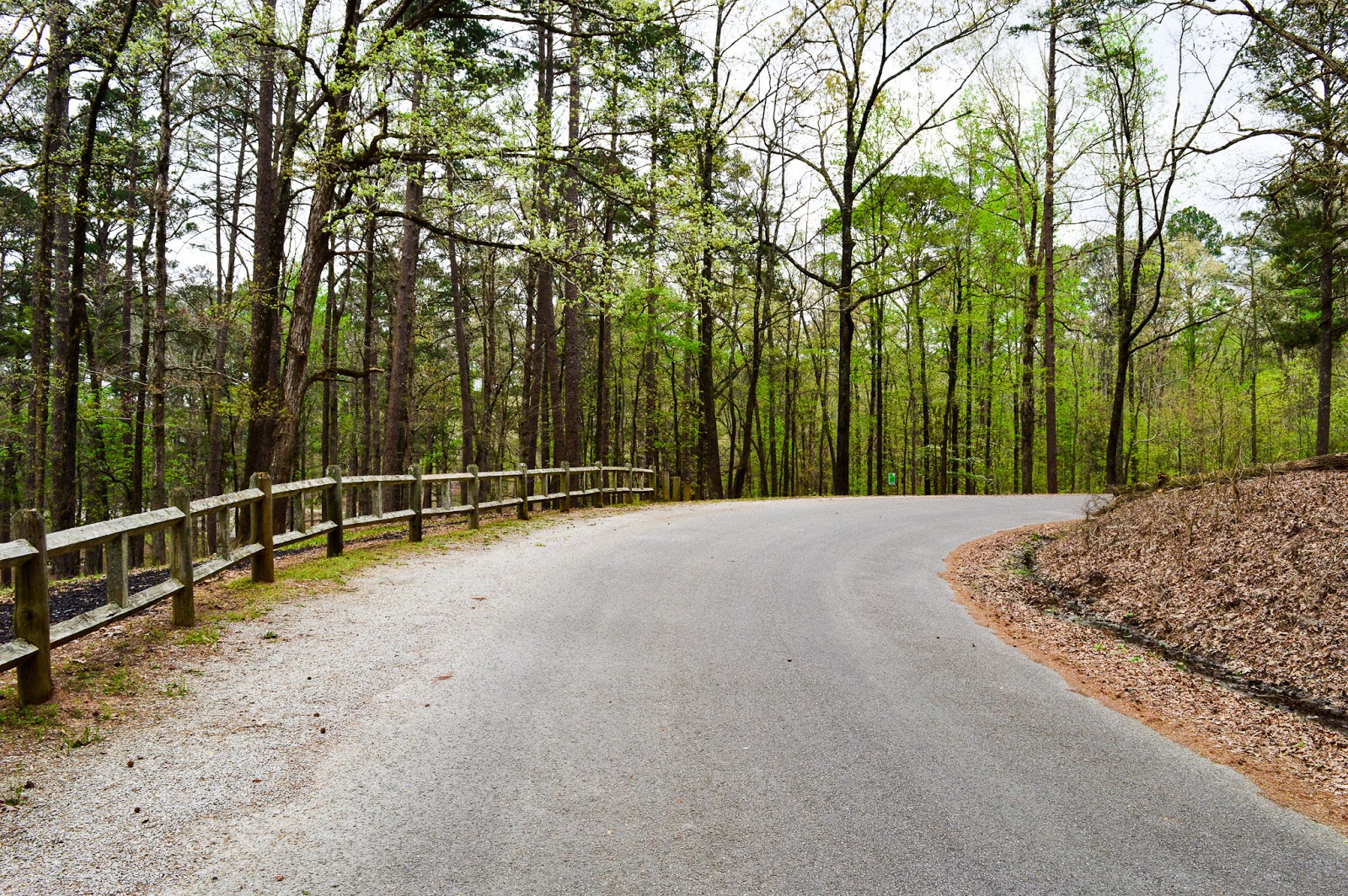 Choctaw Lake Rec Area NF Campground