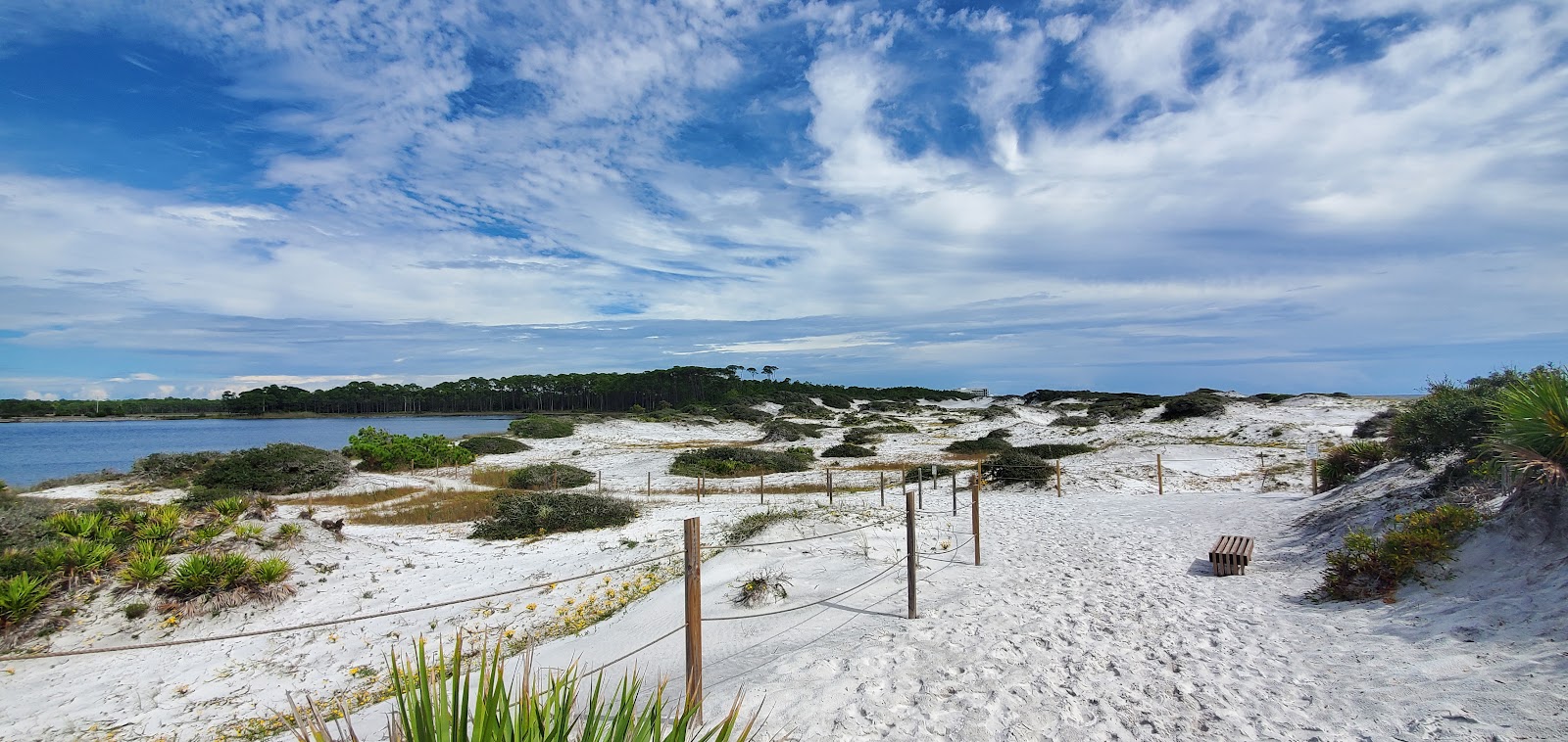 Grayton Beach State Park